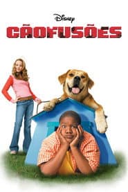 Poster for Cãofusões