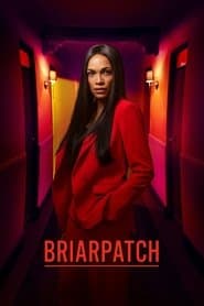 Poster for Briarpatch