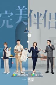 Poster for 完美伴侣