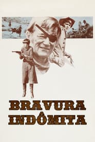 Poster for Bravura Indômita
