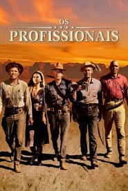 Poster for Os Profissionais