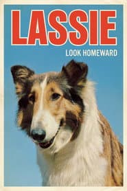 Poster for Look Homeward