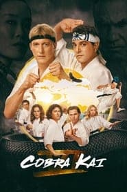 Pôster de Cobra Kai