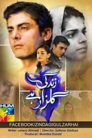 Poster for زندگی گلزار ہے