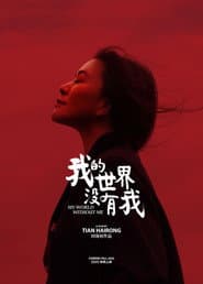 Poster for 我的世界没有我