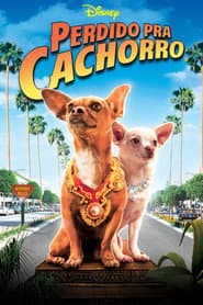 Poster for Perdido pra Cachorro