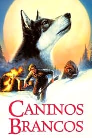 Poster for Caninos Brancos