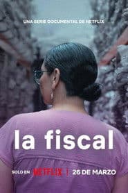 Poster for A Promotora