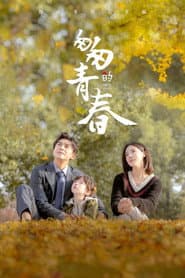 Pôster de 匆匆的青春