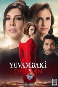 Pôster de Yuvamdaki Düşman