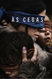 Pôster de Bird Box