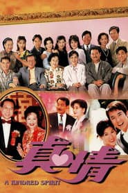 Pôster de 真情