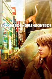 Pôster de Encontros e Desencontros
