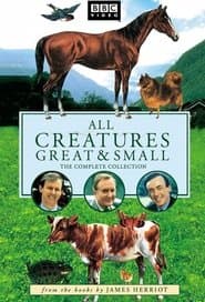 Pôster de Criaturas Grandes e Pequenas
