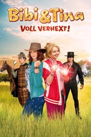 Pôster de Bibi & Tina 2