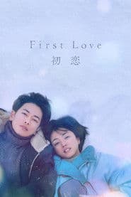 Pôster de First Love