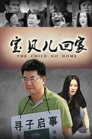 Poster for 宝贝儿回家