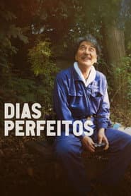 Pôster de Dias Perfeitos