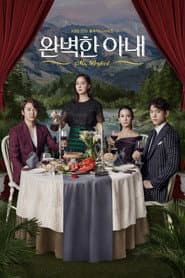 Poster for Perfect Wife
