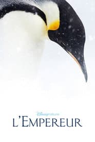 Pôster de A Marcha dos Pinguins 2
