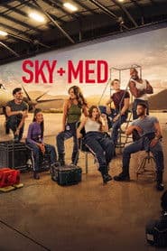 Pôster de SkyMed