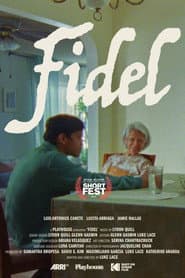 Pôster de Fidel