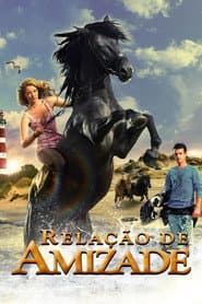Pôster de Relação de Amizade