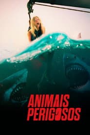 Pôster de Animais Perigosos