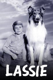 Pôster de Lassie
