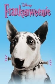 Pôster de Frankenweenie