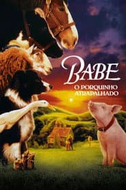 Poster for Babe, o Porquinho Atrapalhado