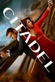 Poster for Citadel