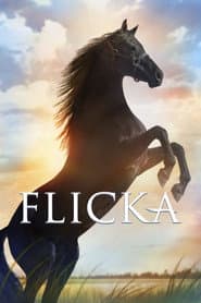 Pôster de Flicka