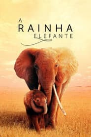 Poster for The Elephant Queen