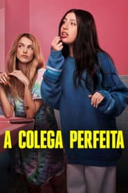 Poster for A Colega Perfeita