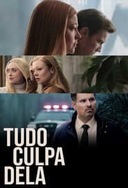 Pôster de Tudo Culpa Dela