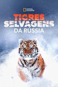 Poster for Tigres Selvagens da Rússia
