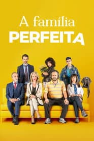 Pôster de A Família Perfeita