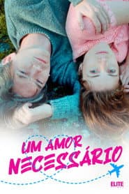 Pôster de Um Amor Necessário