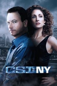 Poster for CSI: Nova York
