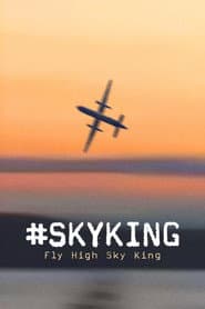 Pôster de #SKYKING