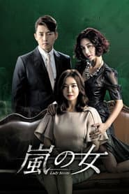Poster for 폭풍의 여자