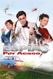Pôster de Espião Por Acaso