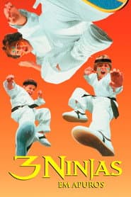 Pôster de 3 Ninjas em Apuros