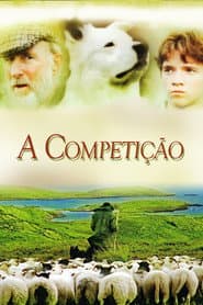 Pôster de A Competição