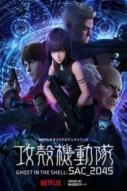 Pôster de Ghost in the Shell: SAC_2045