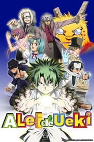 Poster for A Lei de Ueki