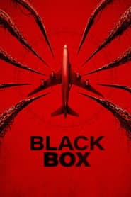 Pôster de Black Box