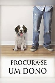 Poster for Procura-se um dono