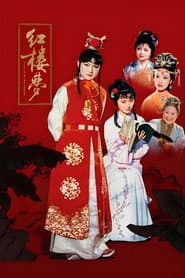 Poster for 红楼梦